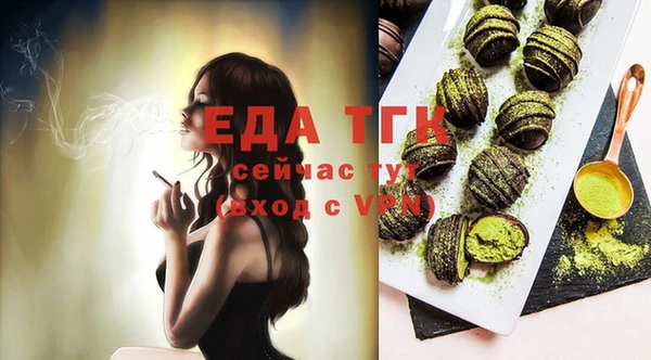 индика Покачи